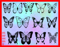 Free butterfly SVG